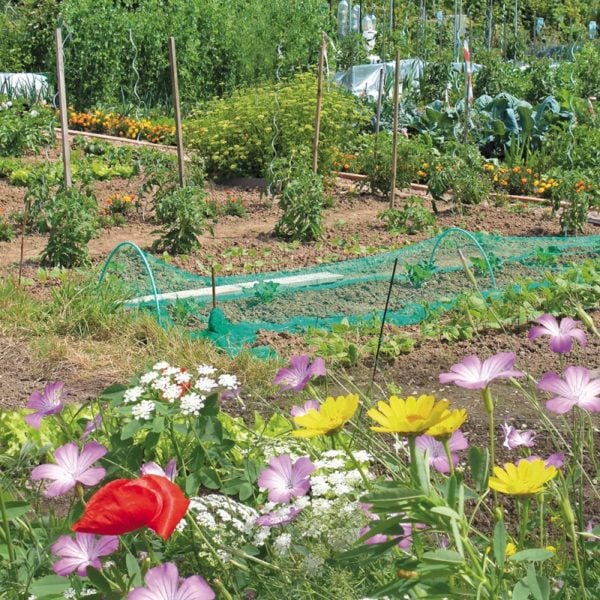 PRAIRIE FLEURIE AMIS DU JARDIN- ANTI-PUCERONS 7 M²