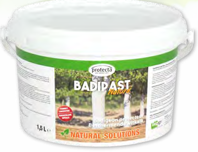 Badipast (seau de 1,5 L)