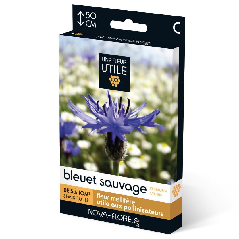 Bleuet sauvage utile aux pollinisateurs (Semences)