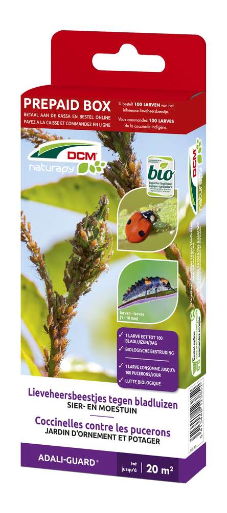 Coccinelles contre les pucerons (1 pc - 20 m²)