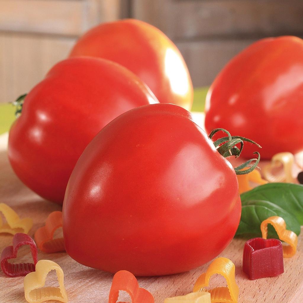 Tomate Fleurette F1, cœur de bœuf

 Plant en pot de 9X9 cm