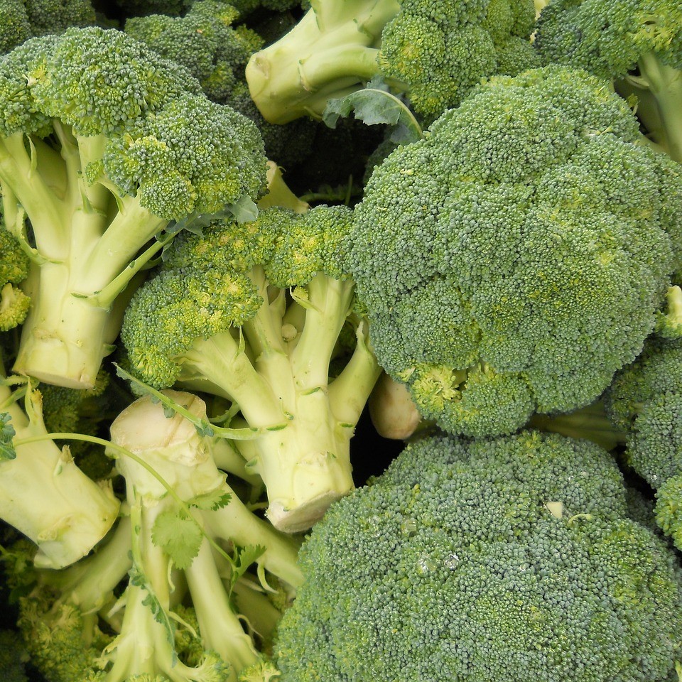 Chou brocoli vivace

 Plant en pot de 1 l