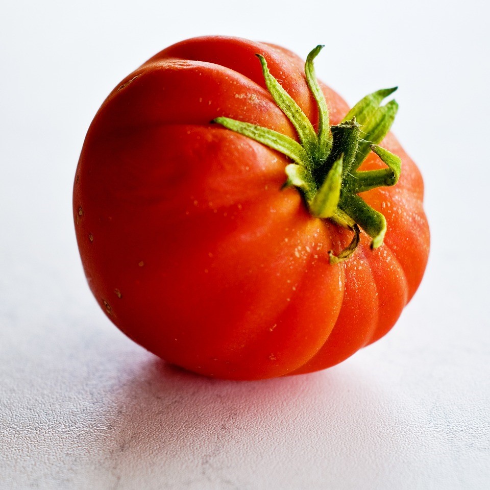 Tomate greffée  Gourmandia F1

 Plant en pot de 11X11 cm