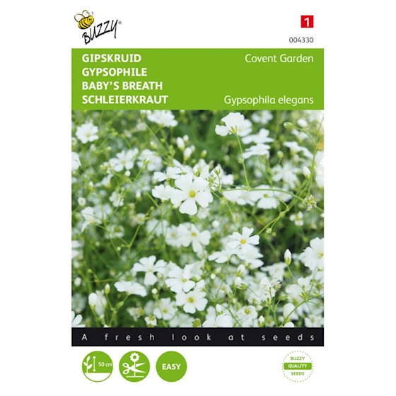 Gypsophile Elegant Covent (Semences)