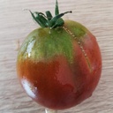 Tomate  noire Zigan (semence)