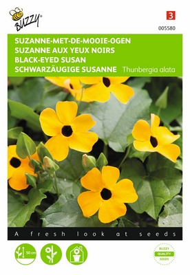 Thunbergia alata jaune à macule foncée (Semences)