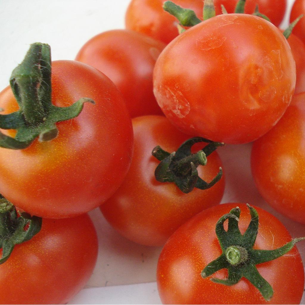 Tomate cerise Christmas grapes (semence)