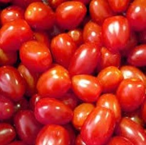 Tomate cerise Raisin rouge (semence)