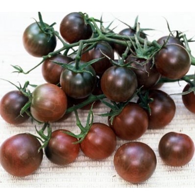 Tomate cerise noire Black Cherry (semence)