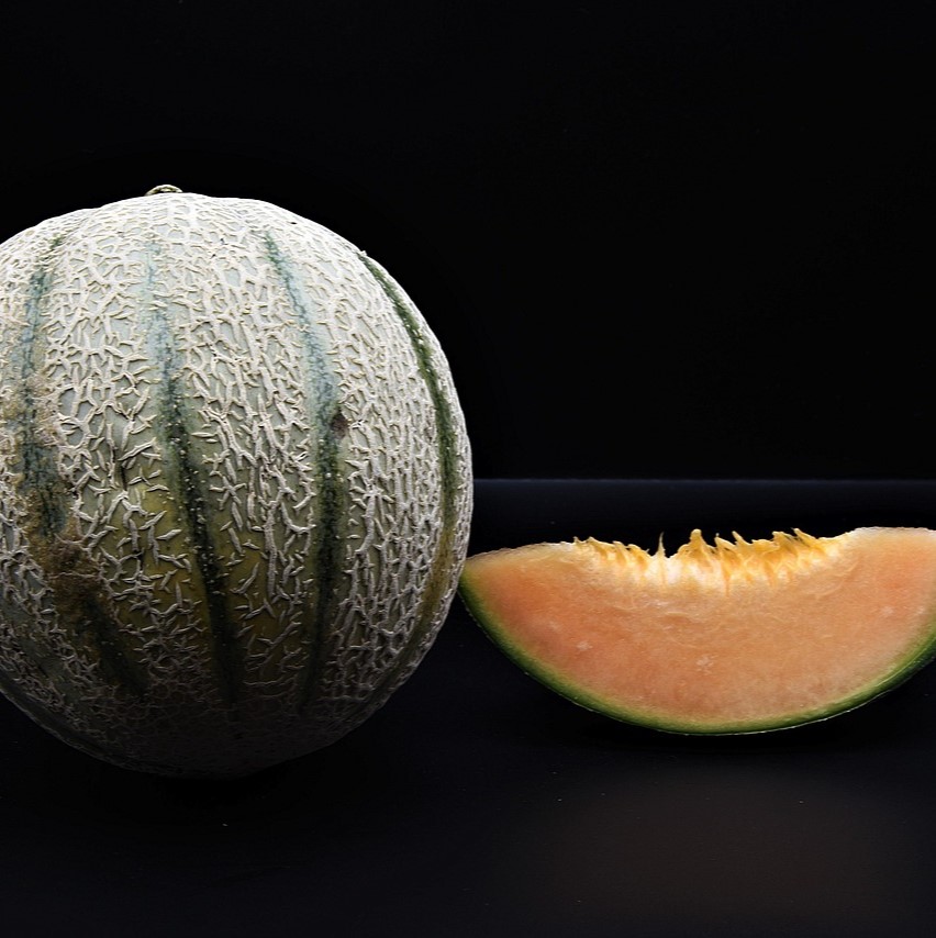 Melon Cavaillon Stellio F1

 Plant en pot de 9x9x10 cm