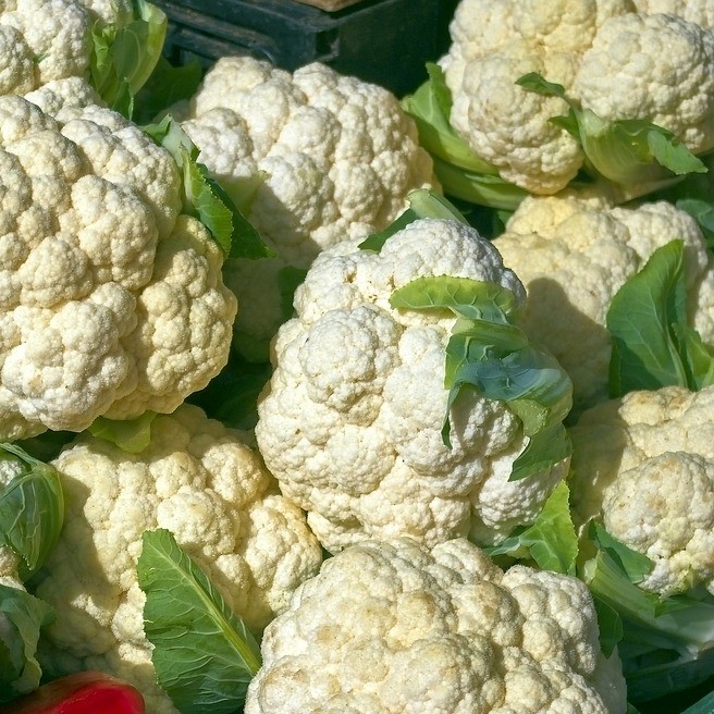 Chou fleur Brocoli blanc Walcheren Winter (semence)