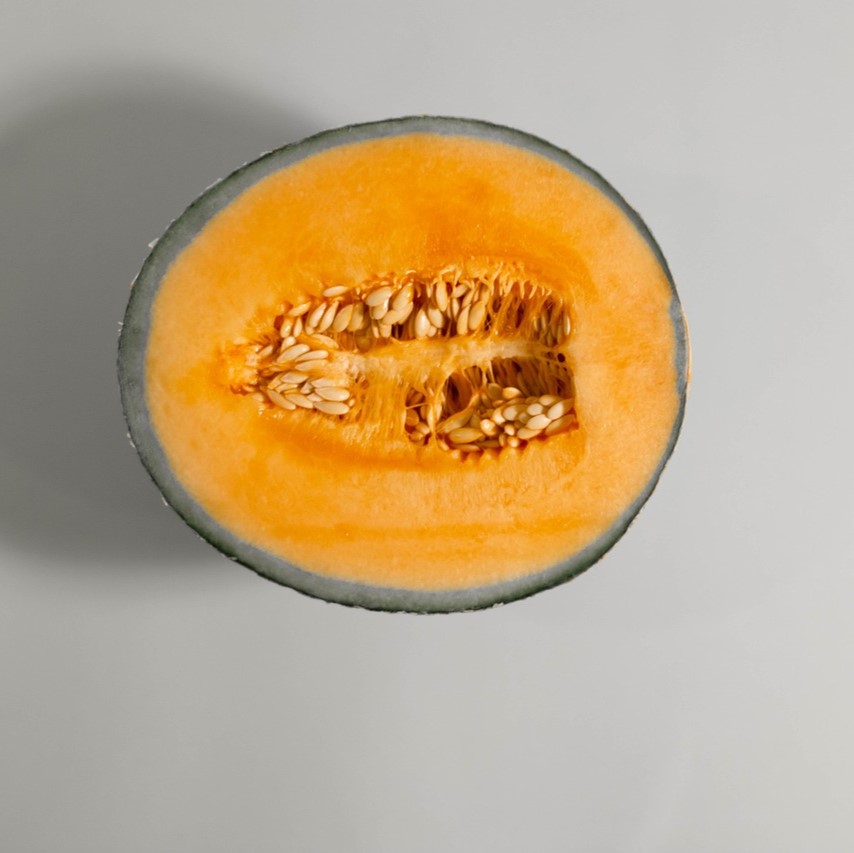 Melon noir des carmes (semence)