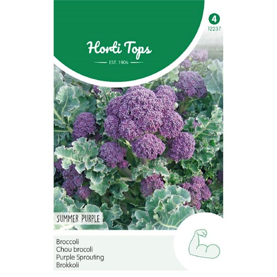 Chou brocoli Summer Purple (Semences)