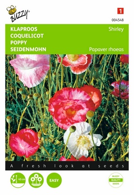 Coquelicot Shirley (Semences)