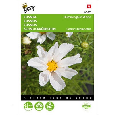 Cosmos Hummingbird White (Semences)