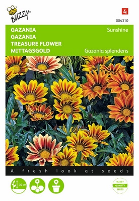 Gazania Sunshine (Semences)