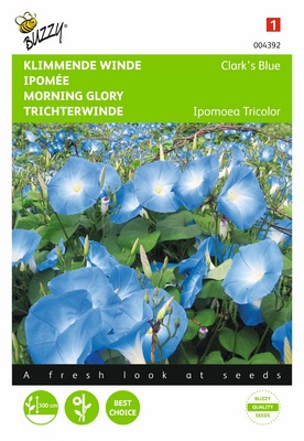 Ipomée Clark's Blue (Semences)