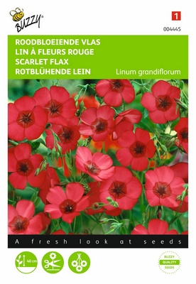 Lin à grandes fleurs rouge (Semences)