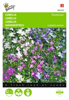 Lobelia Colliers de Perles (Semences)