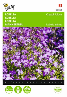 Lobelia Crystal Palace (Semences)