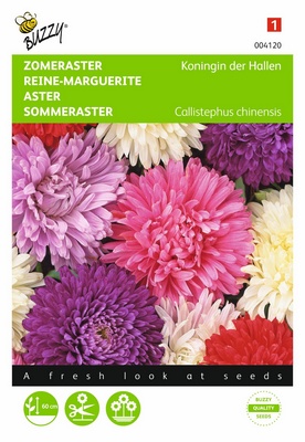 Reine-Marguerite Reine des Halles (Semences)