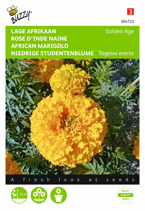 Rose d'Inde Golden Age (Semences)