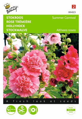 Rose Trémière Summer Carnival (Semences)