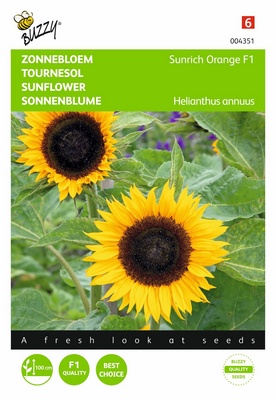 Soleil-Tournesol Sunrich Orange F1 (Semences)