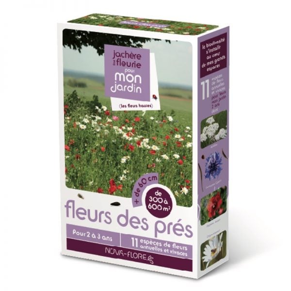 Jachère fleurie - Fleurs des prés (Semences)