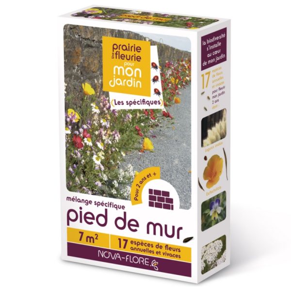 Prairie fleurie Spécifiques - Pied de mur (Semences)