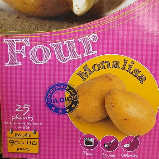 [PDTMONA] Pomme de terre Monalisa