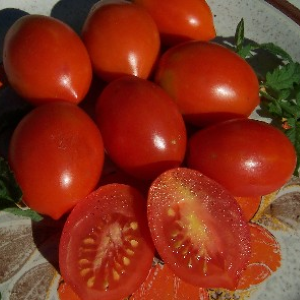 [P7980083] Tomate cocktail Fiaschetto

 Plant en pot de 8X8 cm