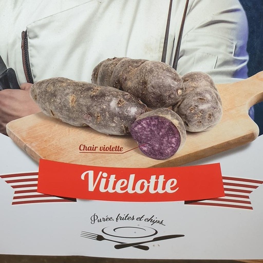 [PDTVITELOTTE] Pomme de terre Vitelotte