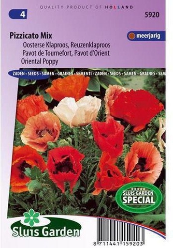 [R5920] Papaver oriëntale Pizzicato (Semences)