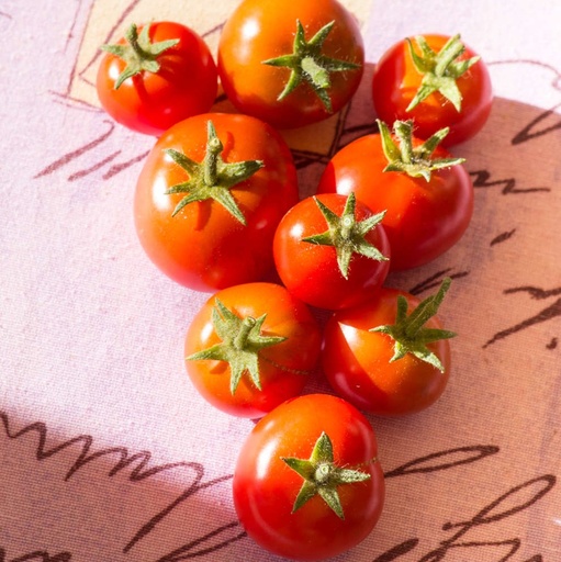 [P7980583] Tomate cocktail Joyau d'Idaho

 Plant en pot de 8X8 cm