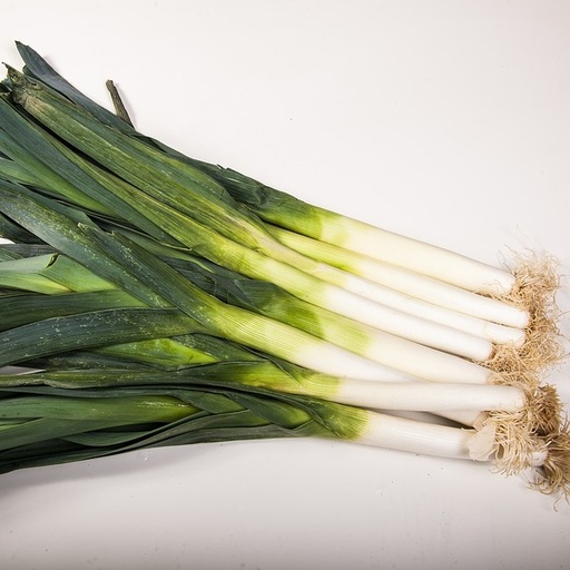 [P6100000] Poireau à repiquer par 50

 Plant en racines nues