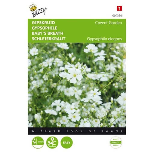 [B4330] Gypsophile Elegant Covent (Semences)