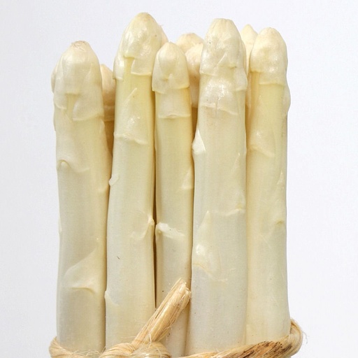 [ASPERGBLANC] Asperge Super Agenteuil 