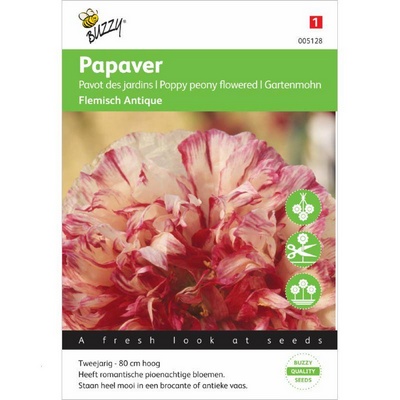 [B5128] Papaver somniferum (Semences)