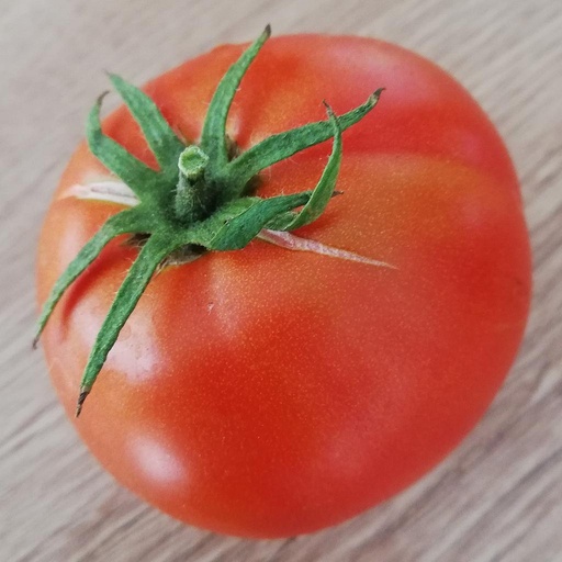 [S78130] Tomate Cosmonaute Volkov (semence)