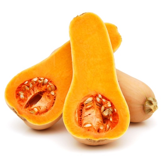 [S34040] Courge Butternut (semence)