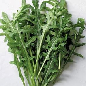 [S70050] Roquette  Frastagliata (semence)
