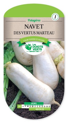 [D293] Navet Marteau (Semences)