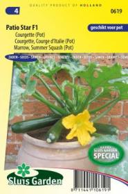 [R0619] Courgette Patio Star F1 (Semences)