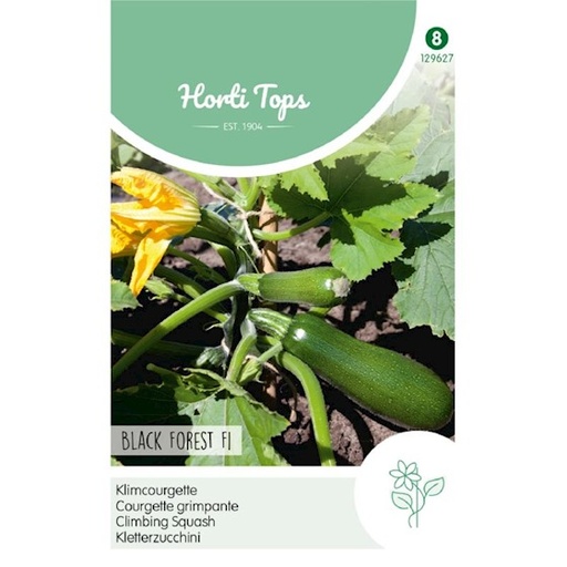 [H29627] Courgette Black Forest F1 (Semences)