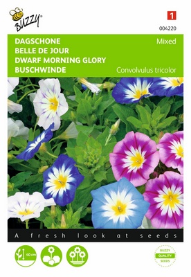 [B4220] Belle de Jour (Semences)