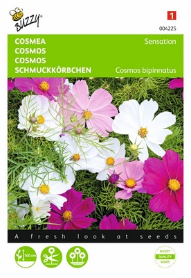 [B4225] Cosmos Sensation (Semences)