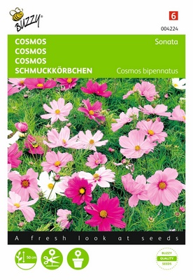 [B4224] Cosmos Sonata (Semences)