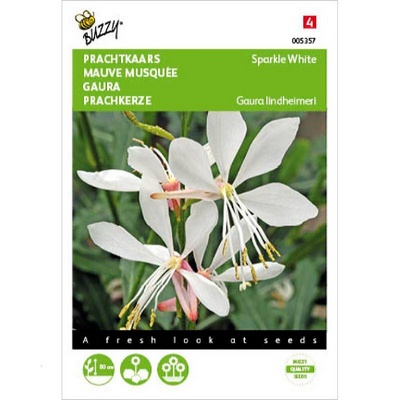 [B5357] Gaura Sparkle White (Semences)