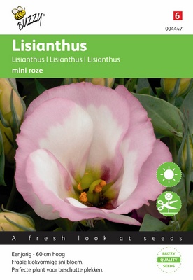 [B4447] Lisianthus Mini (Semences)